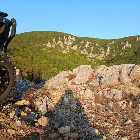 Brvnare Tomic Ždrelo